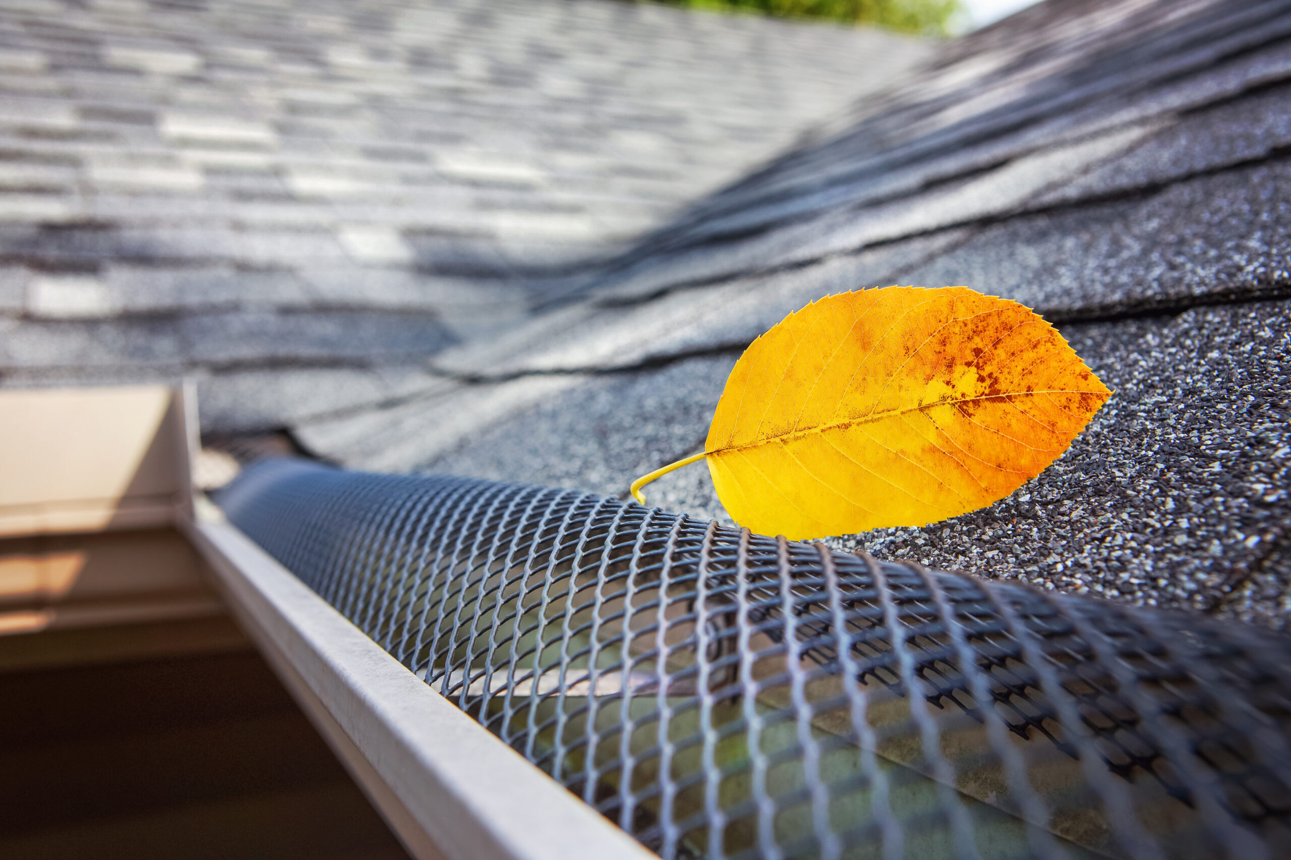 Gutter Guards for Pine Needles and Roof Debris
