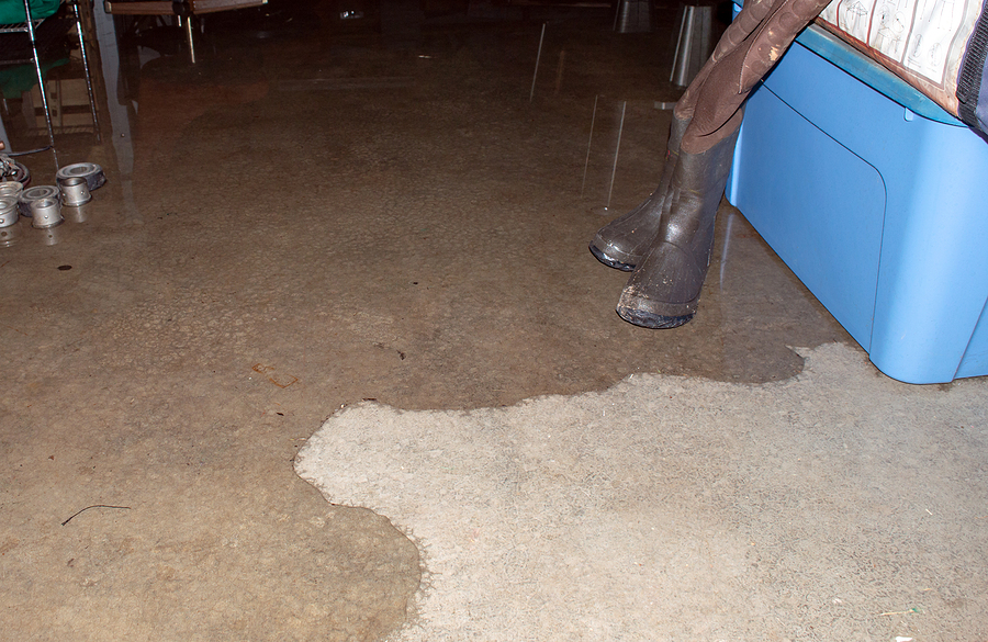 How New Gutters Prevent Basement Flooding